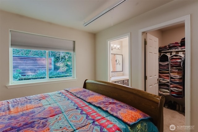 4 Alder Ct, Bellingham, WA 98229 - bedroom with carpet floors, ensuite bath, and a sink