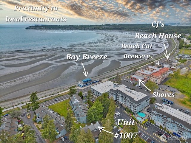 7806 Birch Bay Dr Unit 1007, Blaine, WA 98230 - bird's eye view of a large body of water