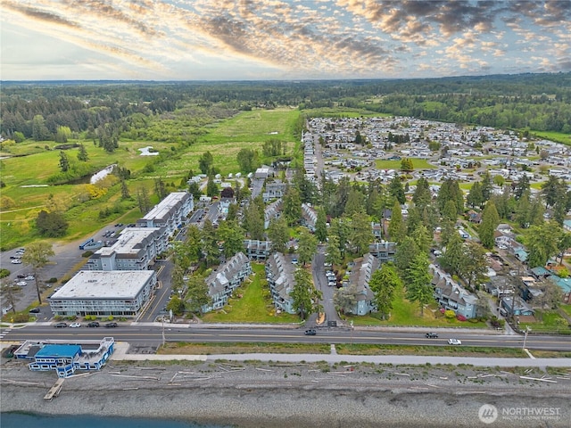 7806 Birch Bay Dr Unit 1007, Blaine, WA 98230 - aerial view of a heavily wooded area