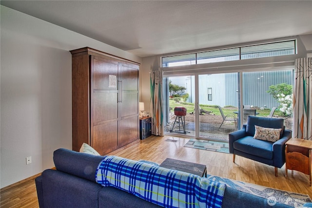 7806 Birch Bay Dr Unit 1007, Blaine, WA 98230 - living room featuring light wood-style floors
