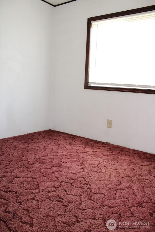 spare room featuring carpet floors