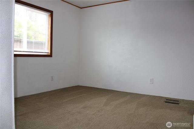 carpeted empty room with crown molding