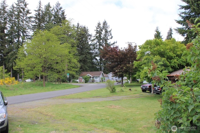 view of green lawn