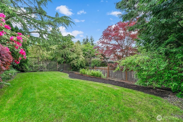 3238 NE 100th St Unit D, Seattle, WA 98125 - view of yard