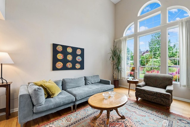 3238 NE 100th St Unit D, Seattle, WA 98125 - living area featuring wood finished floors, baseboards, and a towering ceiling