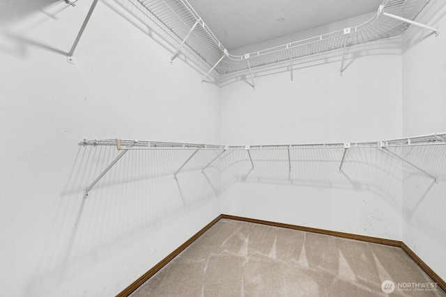 3238 NE 100th St Unit D, Seattle, WA 98125 - spacious closet featuring carpet floors