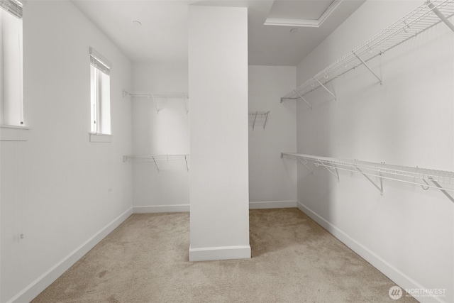 10815 NE 190th Pl, Bothell, WA 98011 - walk in closet featuring carpet floors
