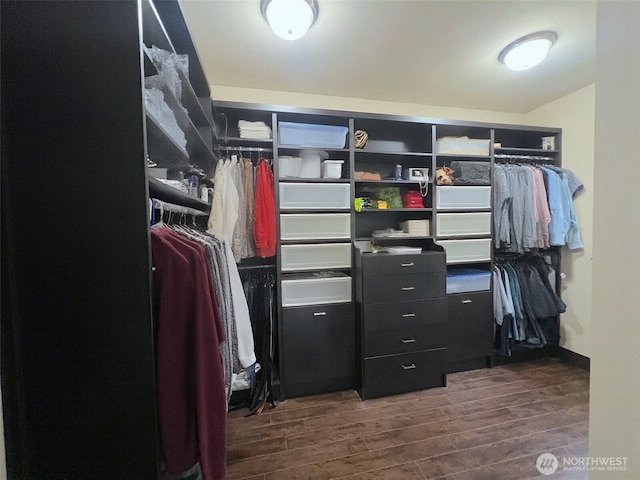 2805 93rd Pl SE, Everett, WA 98208 - spacious closet with wood finished floors