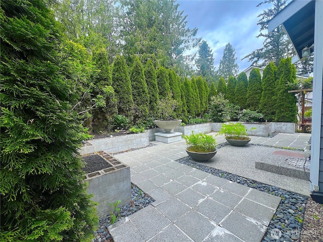 2805 93rd Pl SE, Everett, WA 98208 - view of patio / terrace
