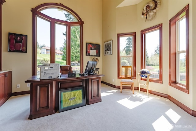 1844 Vineyard Pl, Bellingham, WA 98226 - office space featuring light carpet, plenty of natural light, and baseboards