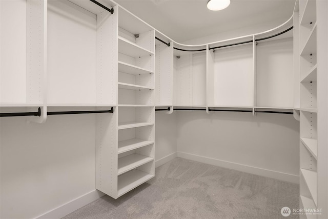 10207 NE 136th Pl, Lot, Kirkland, WA 98034 - walk in closet with carpet floors