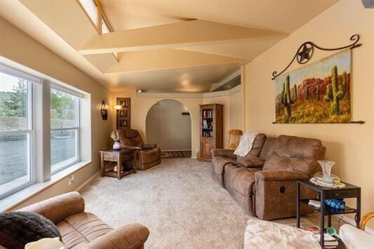 30350 Deer Meadows Rd E, Deer Meadows, WA 99122 - living room featuring arched walkways, vaulted ceiling, and carpet floors