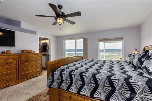 30350 Deer Meadows Rd E, Deer Meadows, WA 99122 - bedroom with light carpet, multiple windows, and ceiling fan