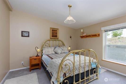 30350 Deer Meadows Rd E, Deer Meadows, WA 99122 - bedroom featuring carpet floors and baseboards