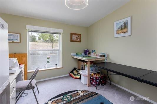 30350 Deer Meadows Rd E, Deer Meadows, WA 99122 - carpeted office space featuring baseboards