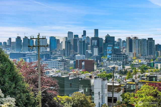 1605 5th Ave N Unit 402, Seattle, WA 98109 - skyline view