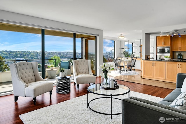 1605 5th Ave N Unit 402, Seattle, WA 98109 - living area with dark wood finished floors