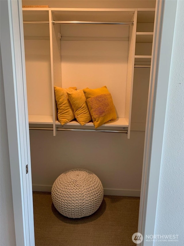 604NW 77th Unit D, Seattle, WA 98117 - view of closet