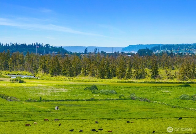 1032 76th Ave NE, Lake Stevens, WA 98258 - mountain view featuring a nearby body of water