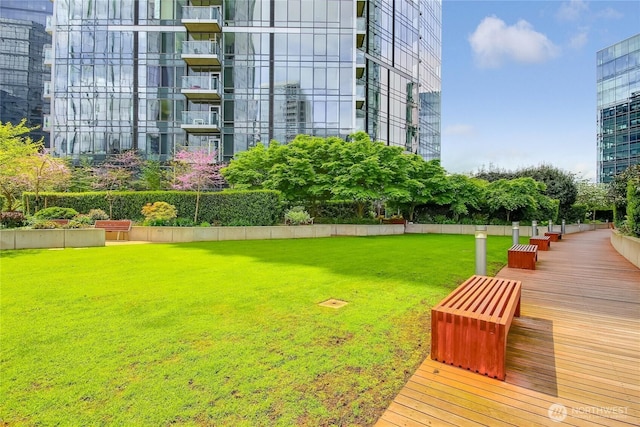 10700 NE 4th St Unit 1006, Bellevue, WA 98004 - view of grassy yard