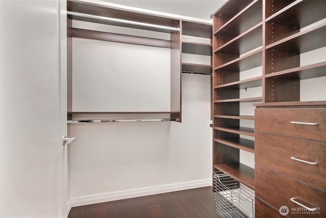 10700 NE 4th St Unit 1006, Bellevue, WA 98004 - spacious closet featuring dark wood-style flooring