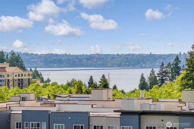 10700 NE 4th St Unit 1006, Bellevue, WA 98004 - water view