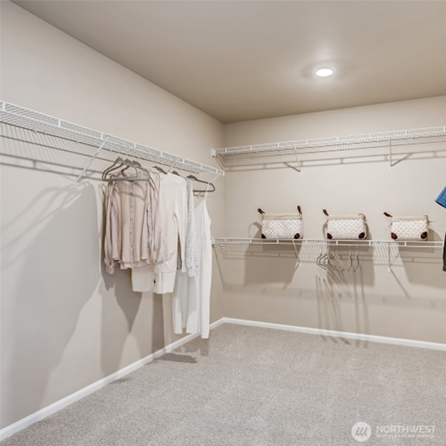 17916 139th Pl E, Puyallup, WA 98374 - spacious closet featuring carpet