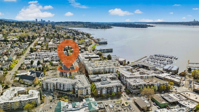 118E 2nd Ave S, Kirkland, WA 98033 - view of urban area with a large body of water