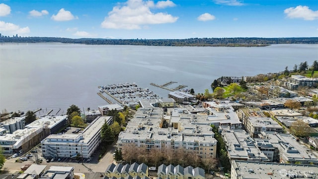 118E 2nd Ave S, Kirkland, WA 98033 - drone / aerial view of a large body of water