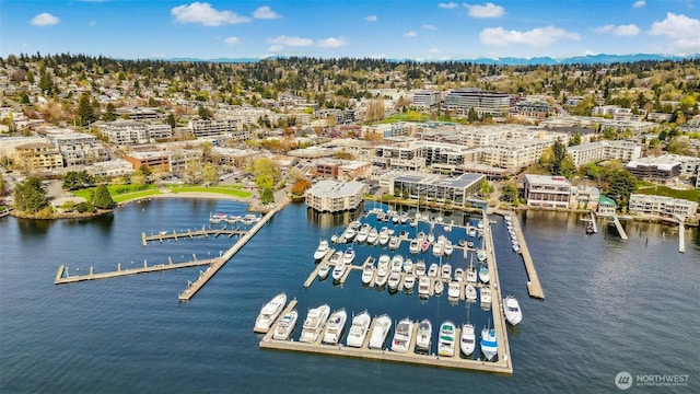 118E 2nd Ave S, Kirkland, WA 98033 - drone / aerial view of a large body of water