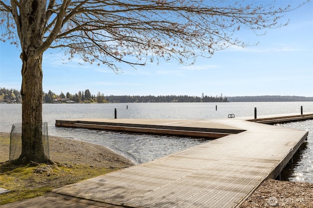 118E 2nd Ave S, Kirkland, WA 98033 - dock with a boat ramp and a water view