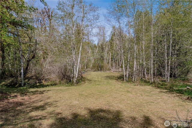701 N Duckabush Dr N, Hoodsport, WA 98548 - photo 1