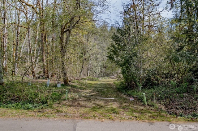 701 N Duckabush Dr N, Hoodsport, WA 98548 - photo 2
