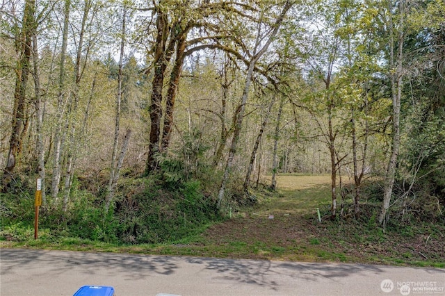 701 N Duckabush Dr N, Hoodsport, WA 98548 - photo 3