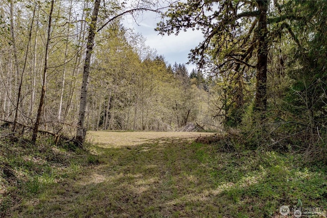 701 N Duckabush Dr N, Hoodsport, WA 98548 - photo 4