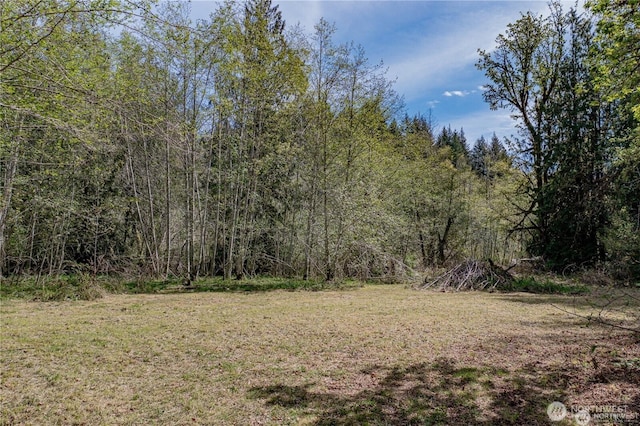 701 N Duckabush Dr N, Hoodsport, WA 98548 - photo 5