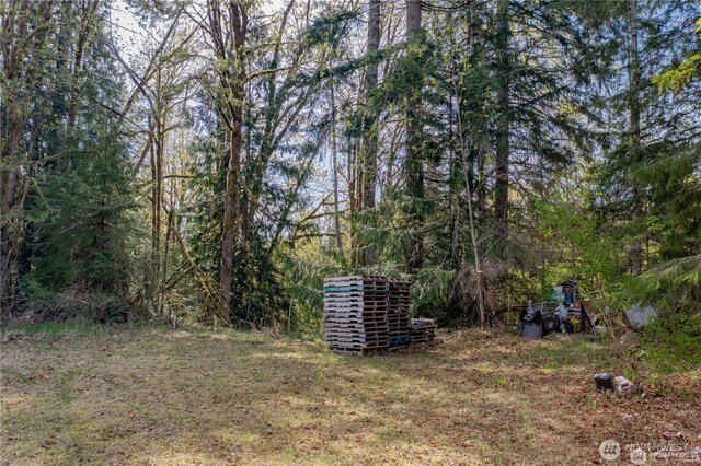 701 N Duckabush Dr N, Hoodsport, WA 98548 - photo 6
