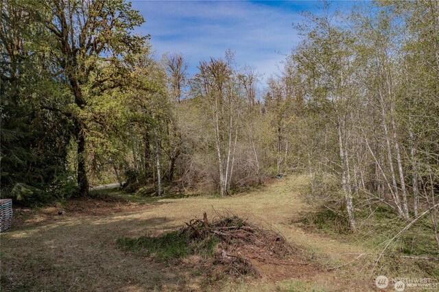 701 N Duckabush Dr N, Hoodsport, WA 98548 - photo 7