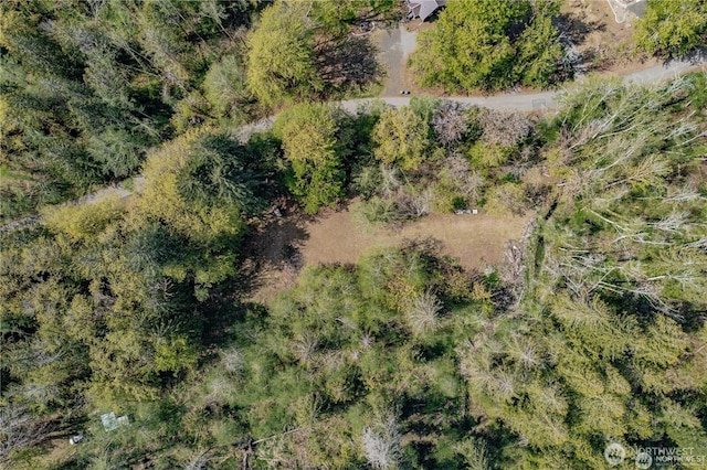 701 N Duckabush Dr N, Hoodsport, WA 98548 - photo 8