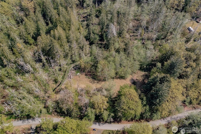 701 N Duckabush Dr N, Hoodsport, WA 98548 - photo 9