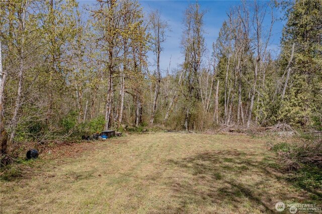 701 N Duckabush Dr N, Hoodsport, WA 98548 - photo 10