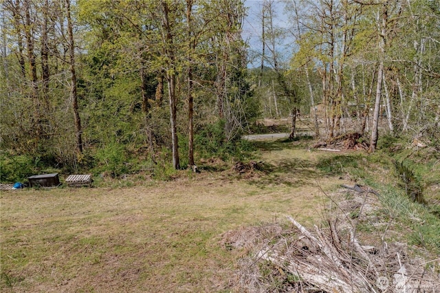 701 N Duckabush Dr N, Hoodsport, WA 98548 - photo 11