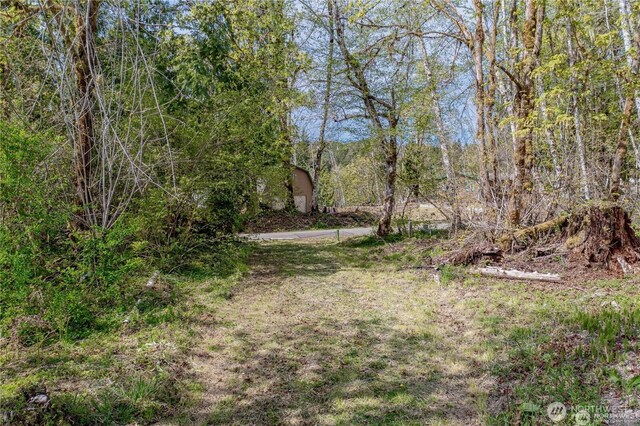 701 N Duckabush Dr N, Hoodsport, WA 98548 - photo 12