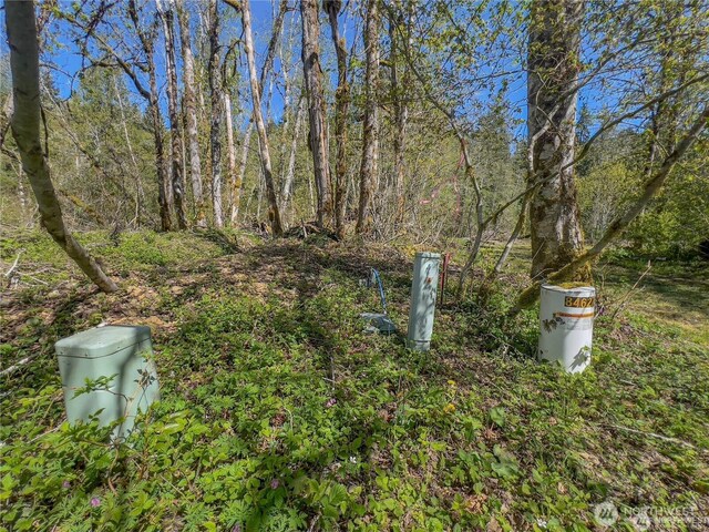 701 N Duckabush Dr N, Hoodsport, WA 98548 - photo 13