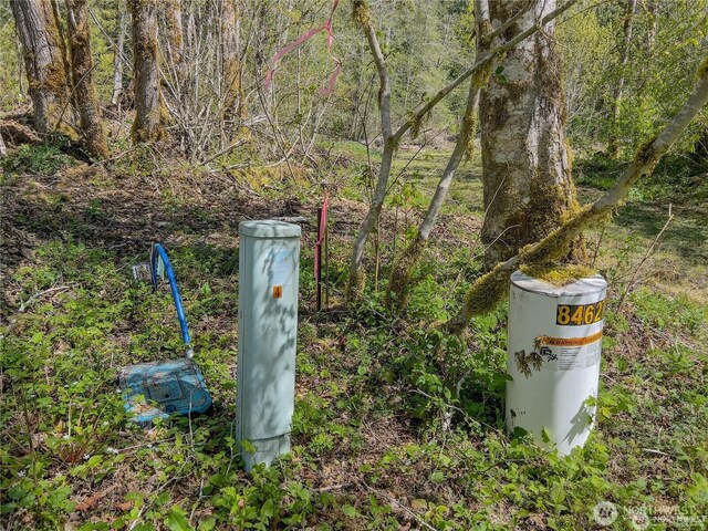 701 N Duckabush Dr N, Hoodsport, WA 98548 - photo 14