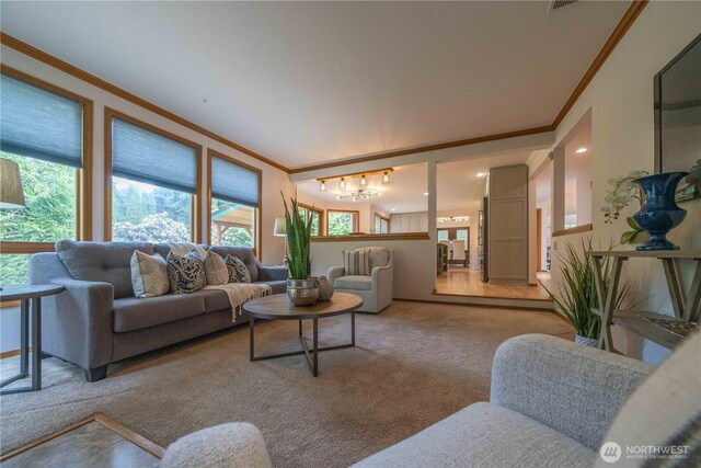 18118 236th Ave NE, Woodinville, WA 98077 - photo 19