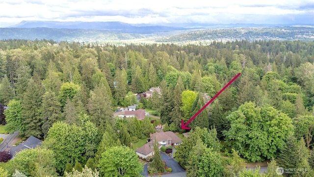 18118 236th Ave NE, Woodinville, WA 98077 - photo 4