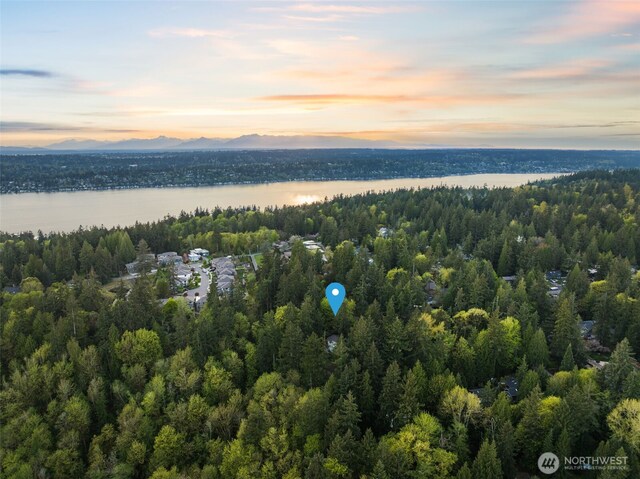 7429 NE 129th St, Kirkland, WA 98034 - aerial view at dusk of a water view and a wooded view