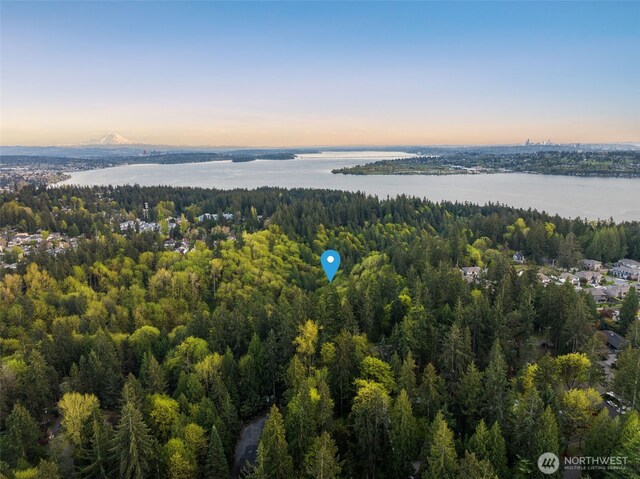 7429 NE 129th St, Kirkland, WA 98034 - aerial view at dusk of a water view and a view of trees