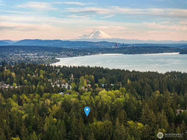 7429 NE 129th St, Kirkland, WA 98034 - bird's eye view of a forest and a water and mountain view